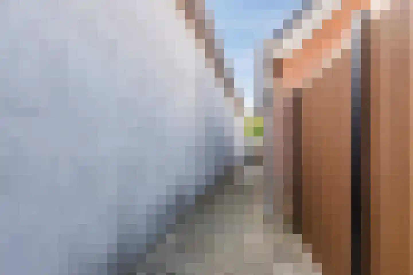 Boveneindsestraat 14 Kesteren thumbnail 54