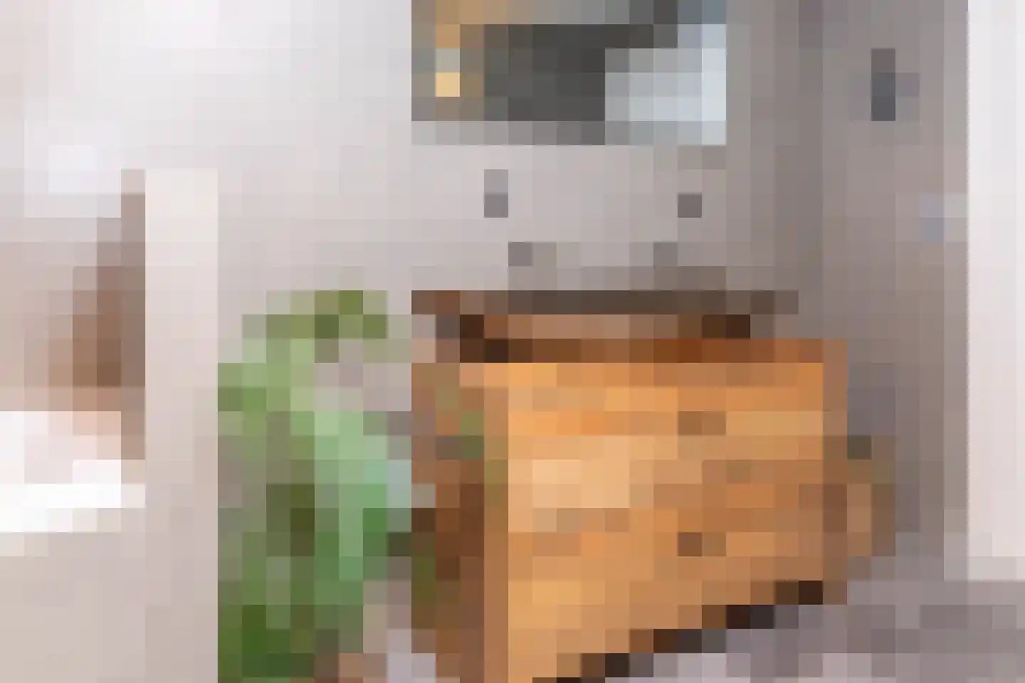 Boveneindsestraat 14 Kesteren thumbnail 6