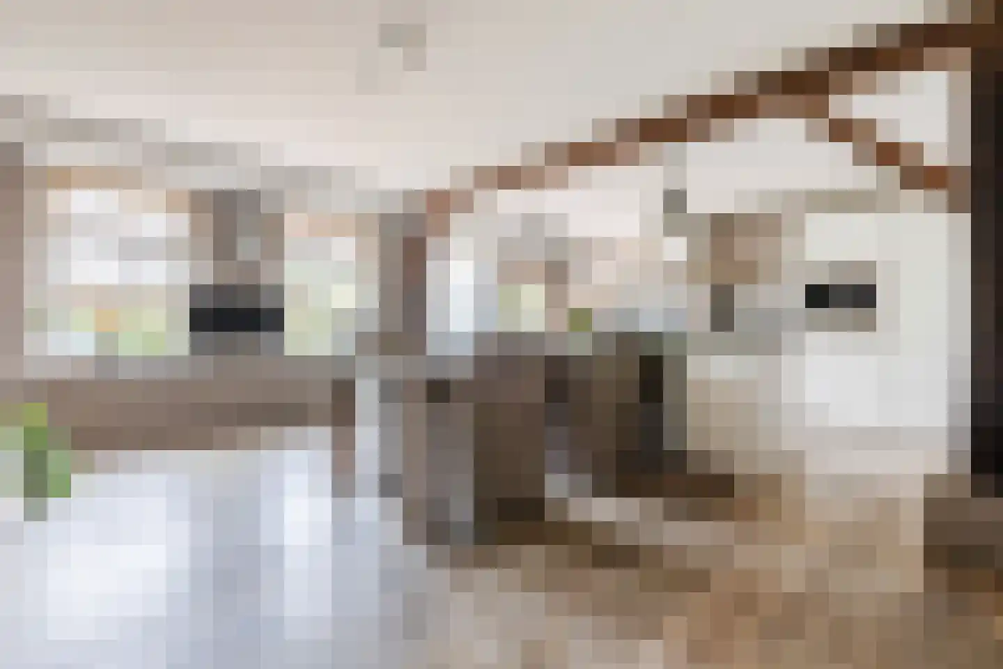 Boveneindsestraat 14 Kesteren thumbnail 7