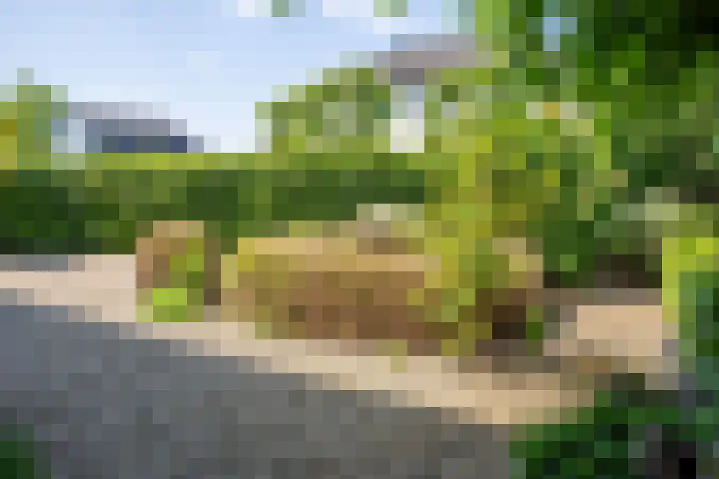 Boveneindsestraat 14 Kesteren thumbnail 72