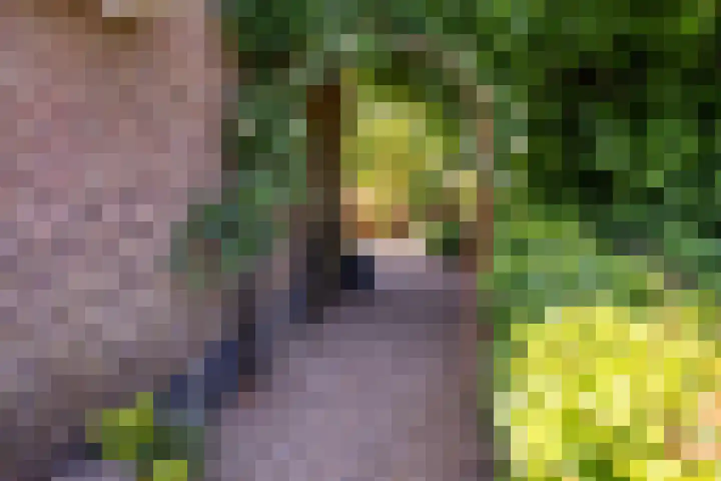 Boveneindsestraat 14 Kesteren thumbnail 73