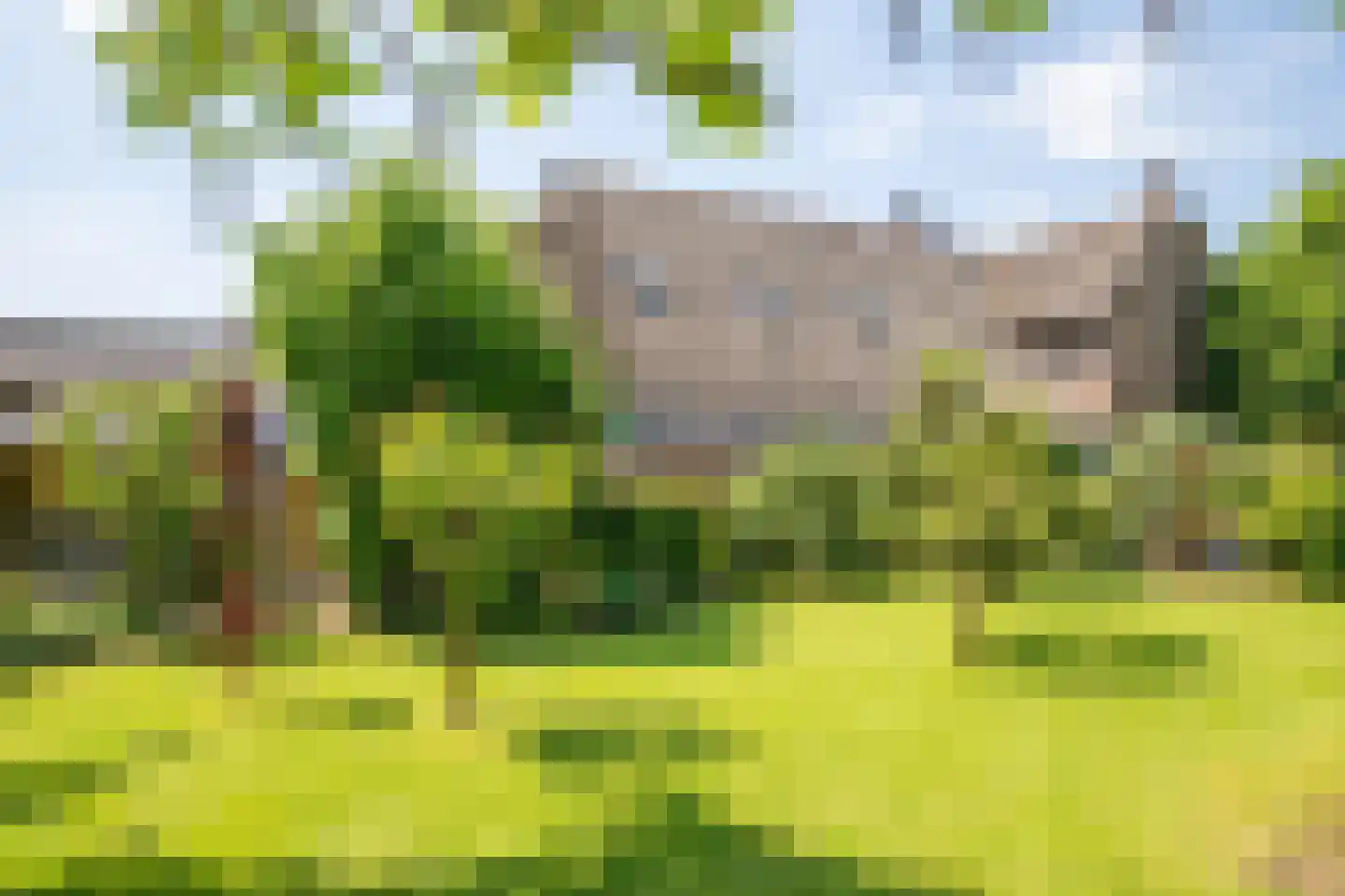 Boveneindsestraat 14 Kesteren thumbnail 78