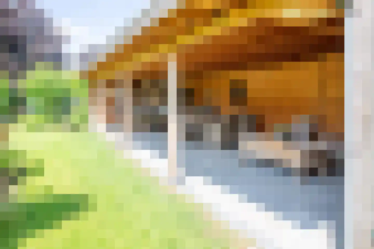 Boveneindsestraat 14 Kesteren thumbnail 79