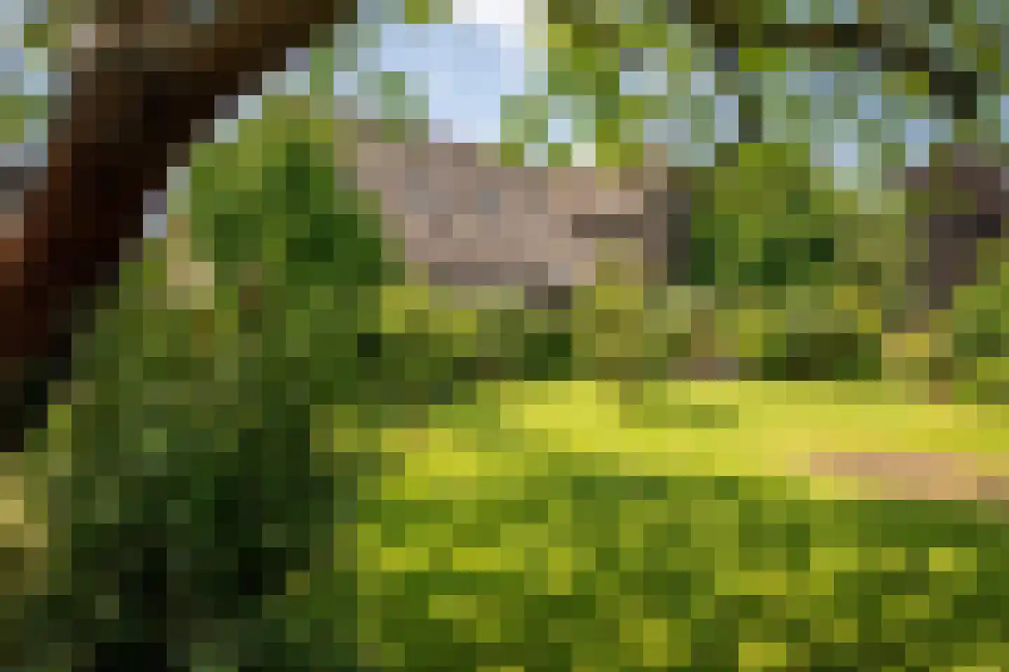 Boveneindsestraat 14 Kesteren thumbnail 8