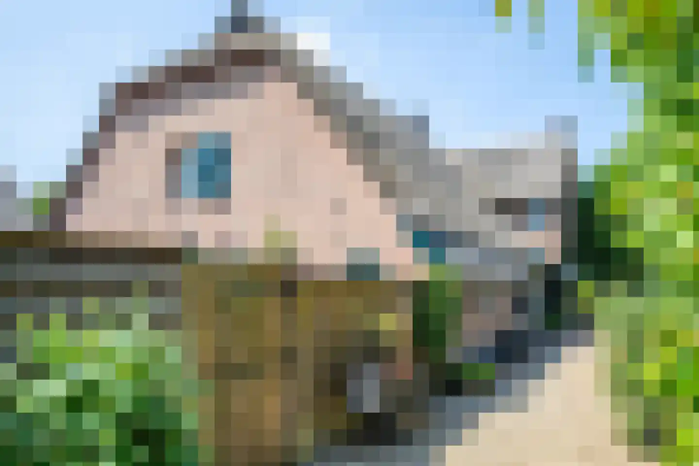 Boveneindsestraat 14 Kesteren thumbnail 81