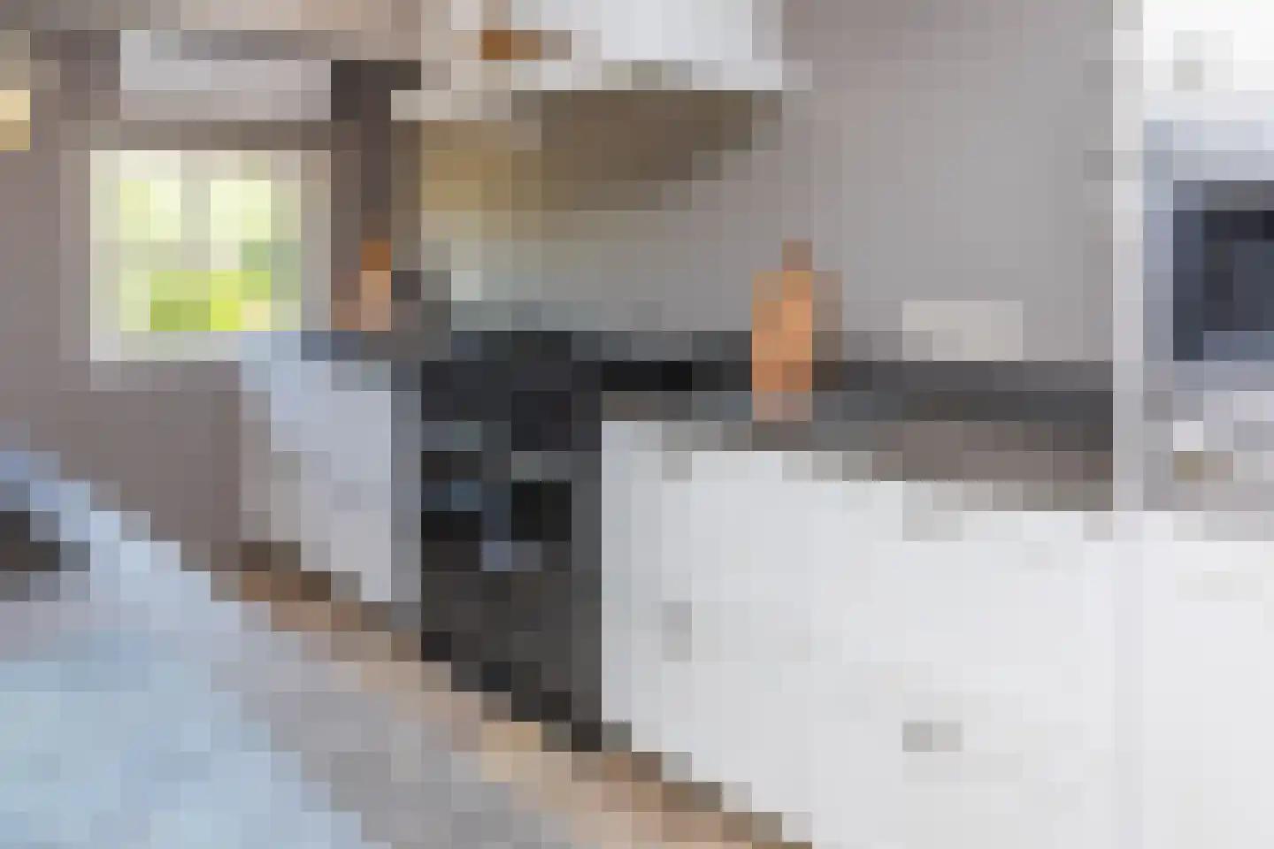 Boveneindsestraat 14 Kesteren thumbnail 85