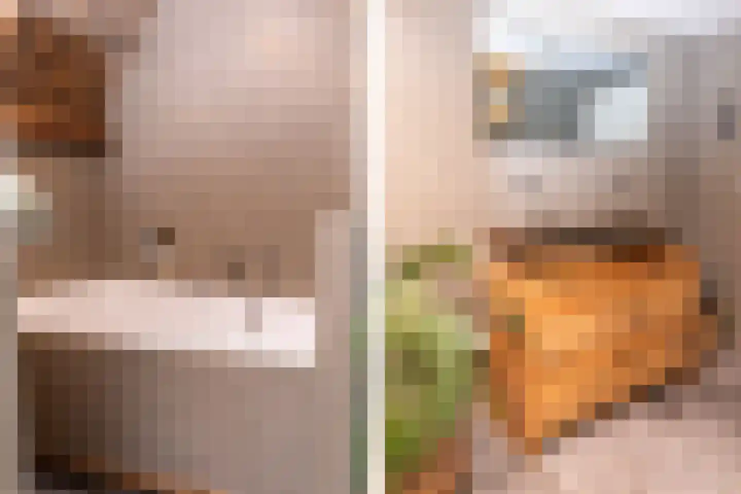 Boveneindsestraat 14 Kesteren thumbnail 90
