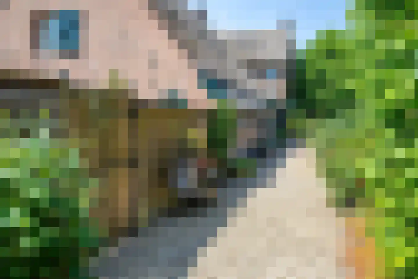 Boveneindsestraat 14 Kesteren thumbnail 97