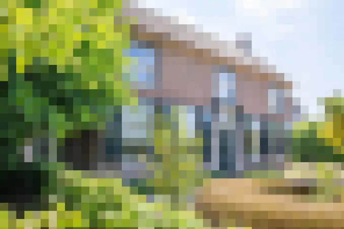 Boveneindsestraat 14 Kesteren thumbnail 99