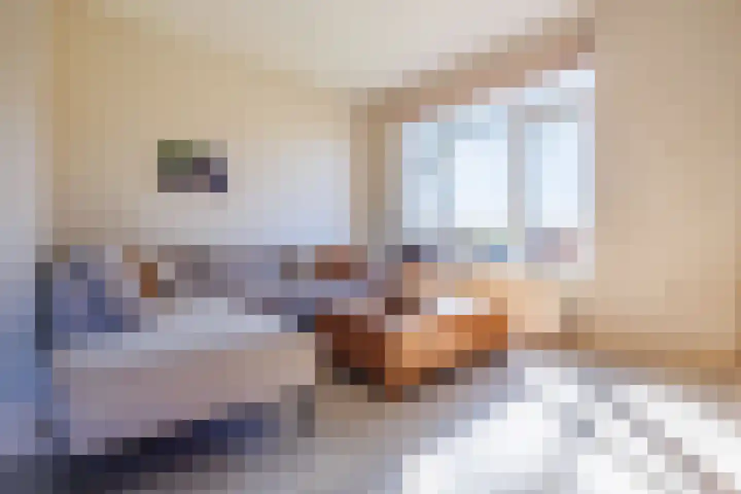 Boveneindsestraat 17 Kesteren thumbnail 29