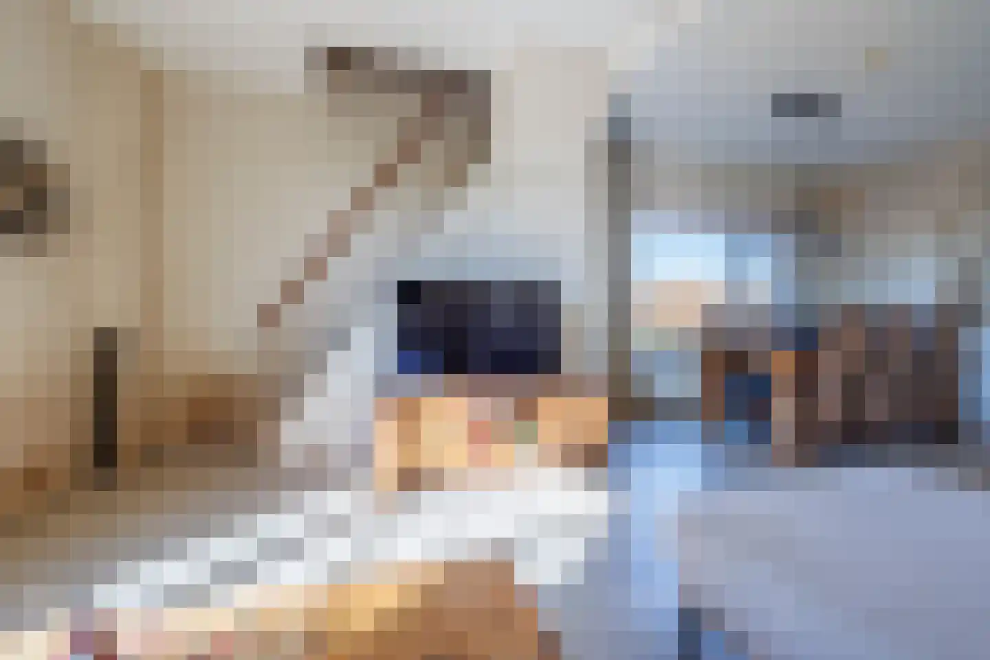 Boveneindsestraat 17 Kesteren thumbnail 31