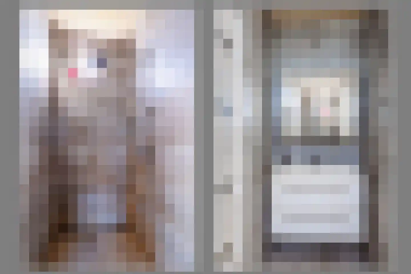 Boveneindsestraat 17 Kesteren thumbnail 37