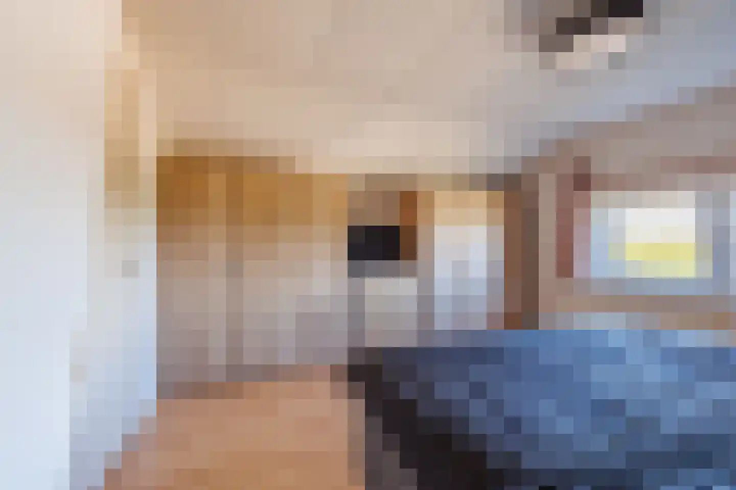 Boveneindsestraat 17 Kesteren thumbnail 43