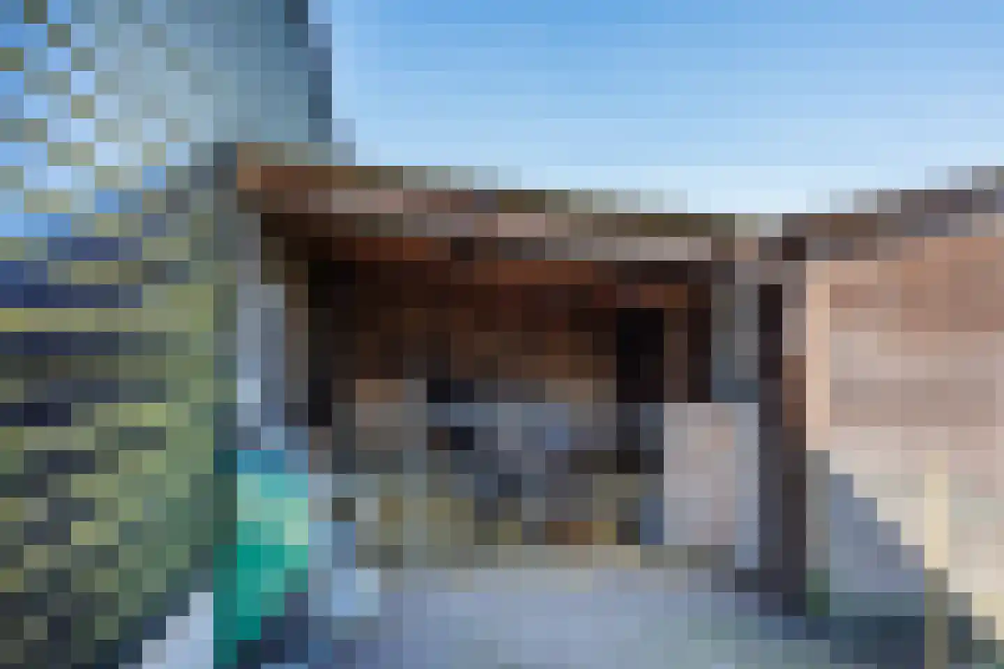 Boveneindsestraat 17 Kesteren thumbnail 55