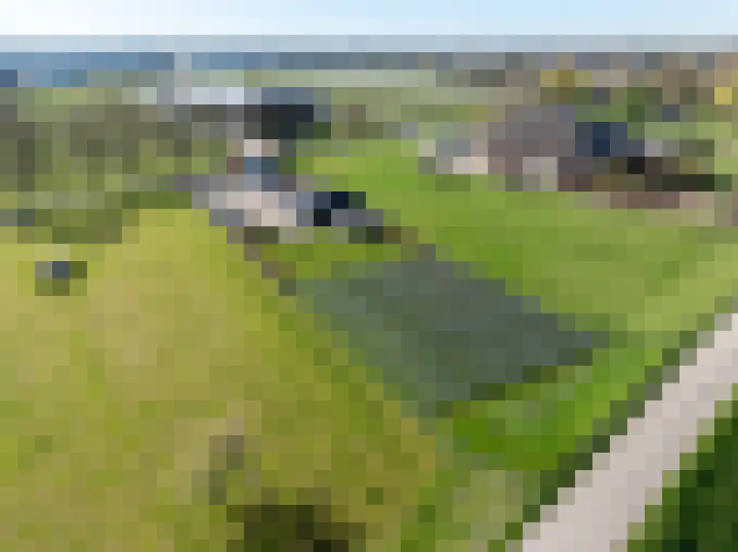 Boveneindsestraat 17 Kesteren thumbnail 6