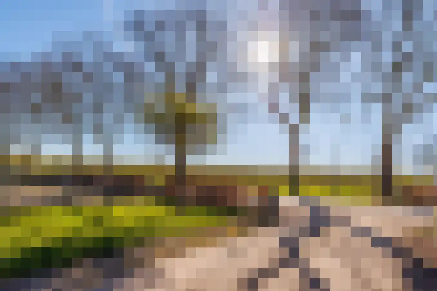 Boveneindsestraat 17 Kesteren thumbnail 60
