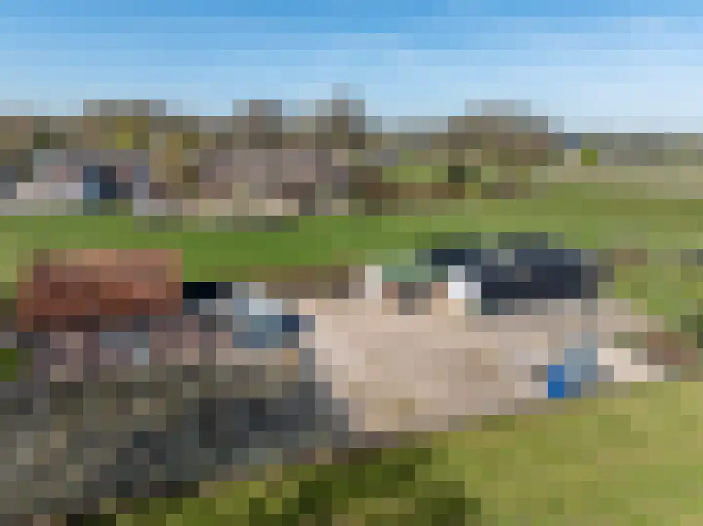 Boveneindsestraat 17 Kesteren thumbnail 8