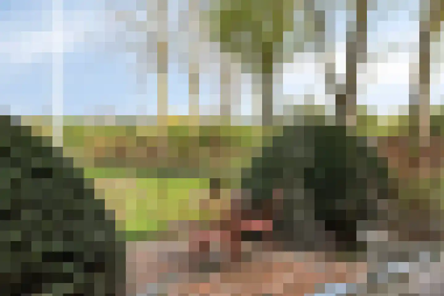 Boveneindsestraat 25 Kesteren thumbnail 12