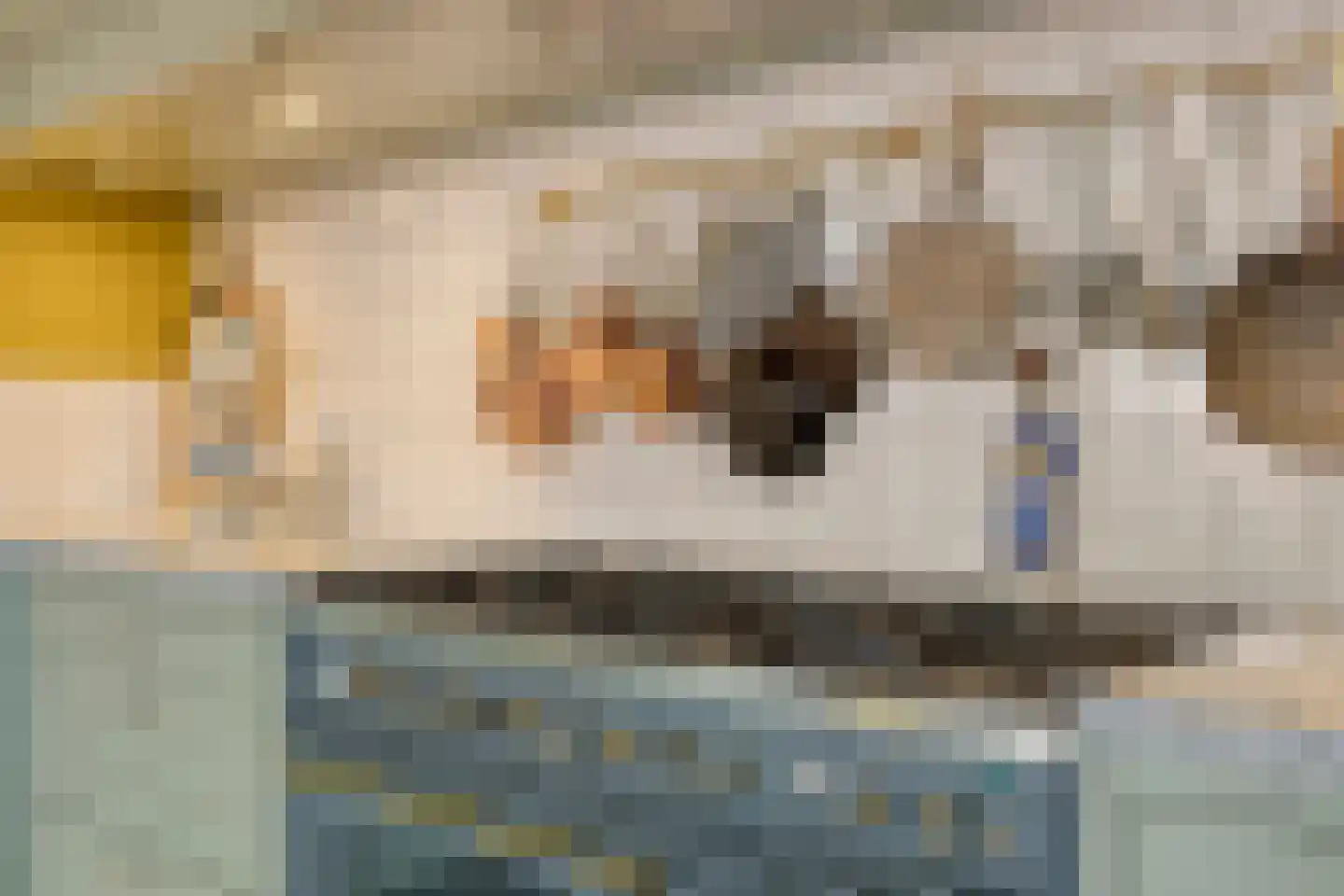 Boveneindsestraat 25 Kesteren thumbnail 29
