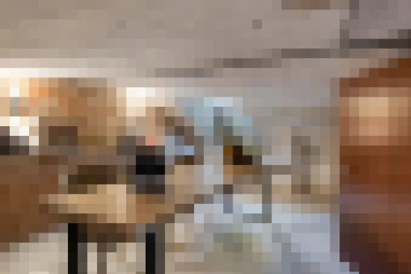 Boveneindsestraat 25 Kesteren thumbnail 34