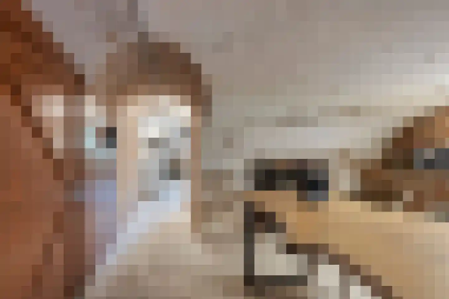 Boveneindsestraat 25 Kesteren thumbnail 35
