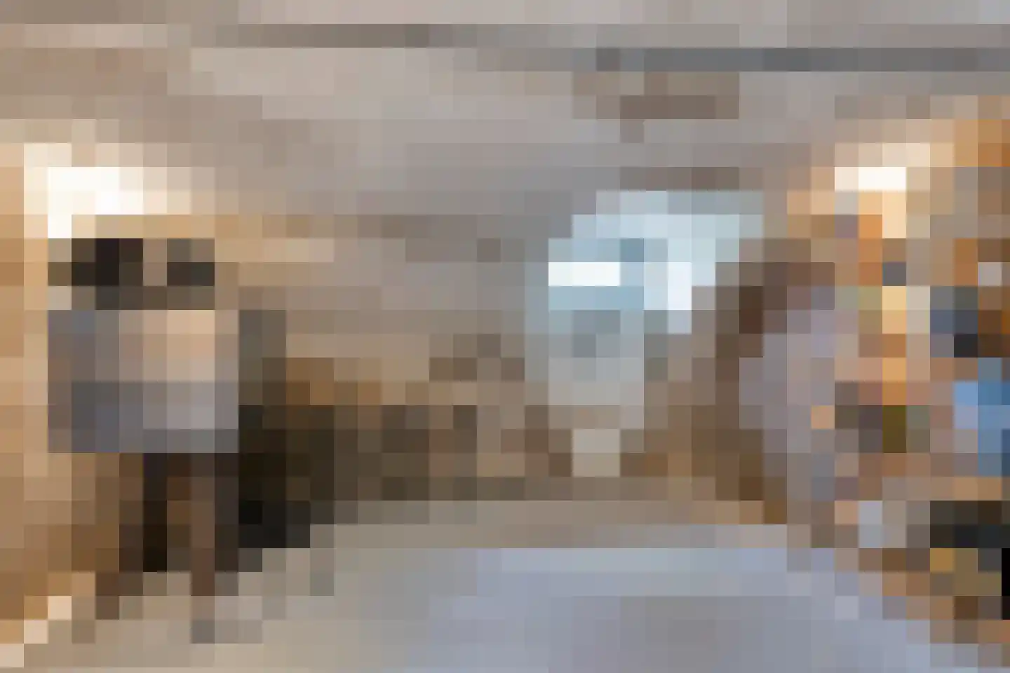 Boveneindsestraat 25 Kesteren thumbnail 36