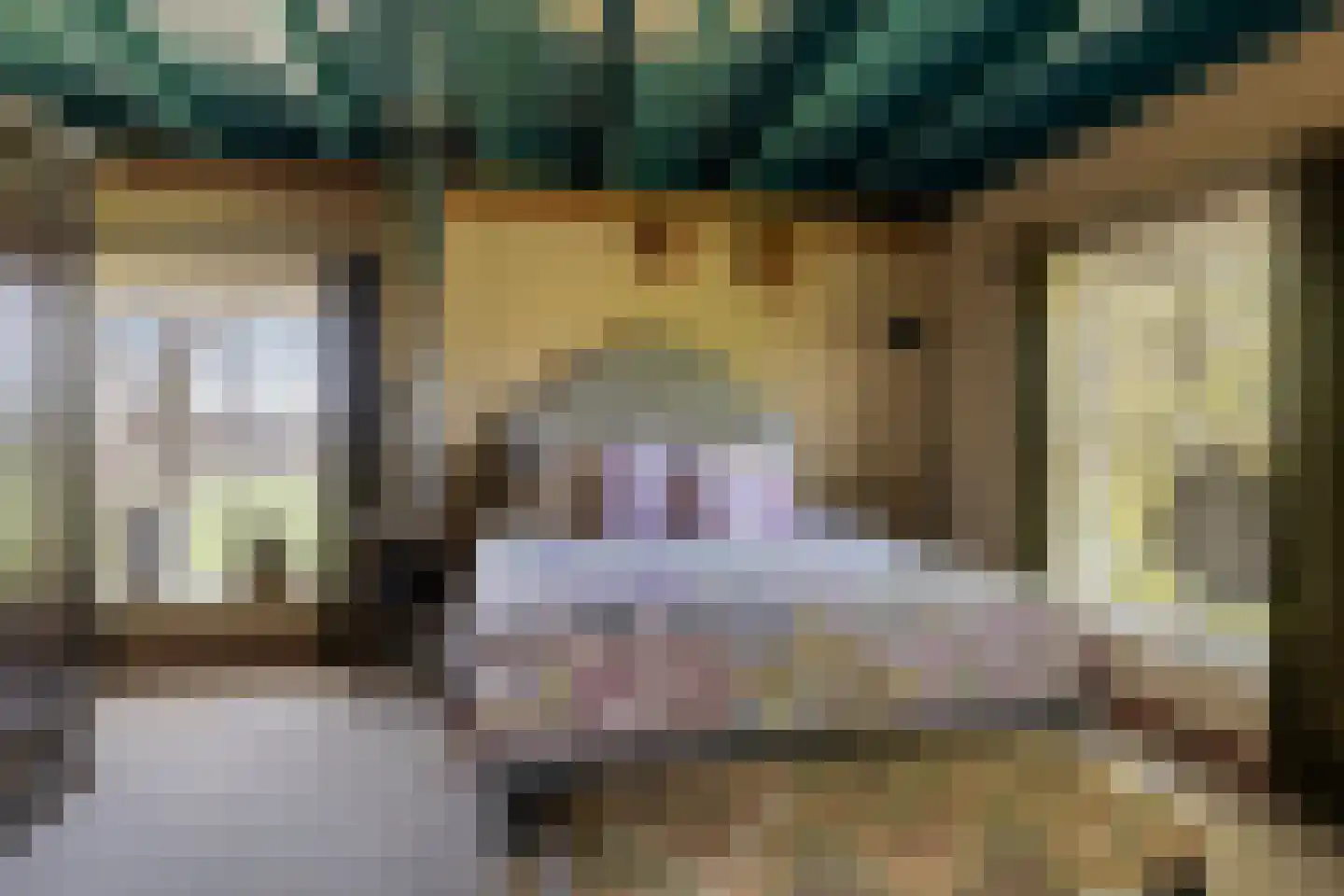 Boveneindsestraat 25 Kesteren thumbnail 42