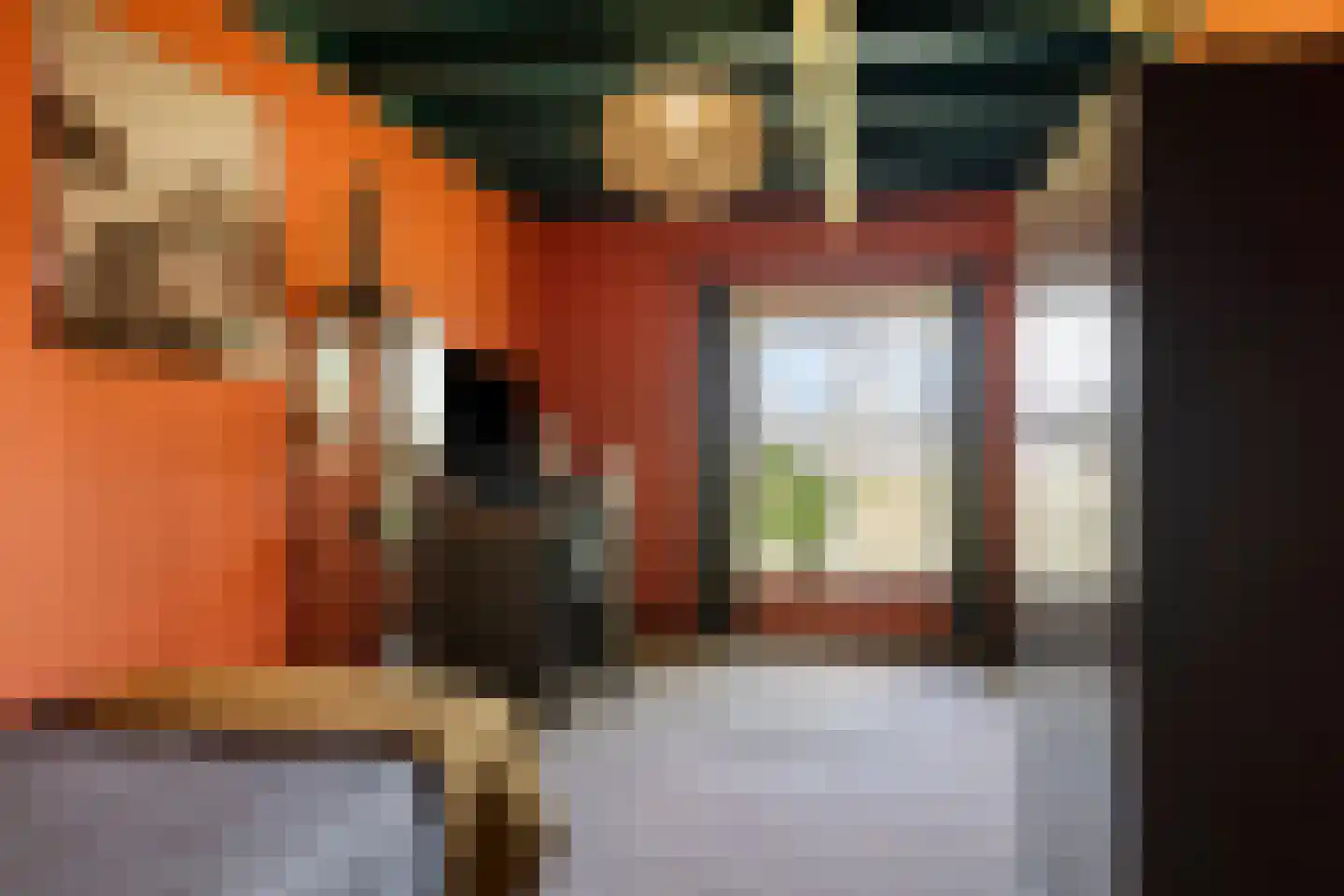 Boveneindsestraat 25 Kesteren thumbnail 47