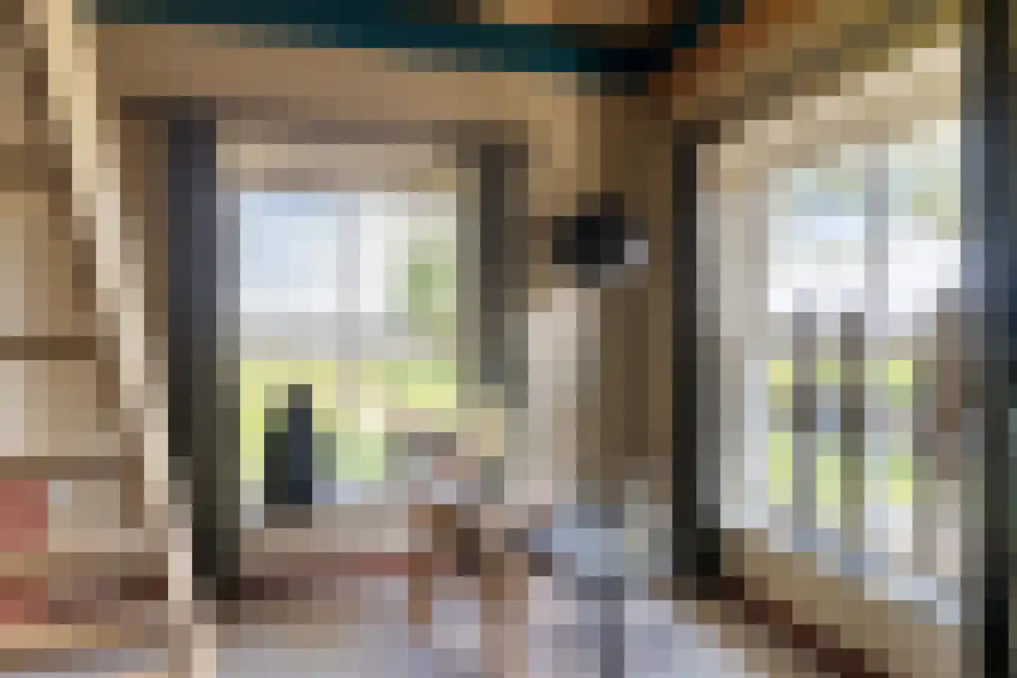 Boveneindsestraat 25 Kesteren thumbnail 53