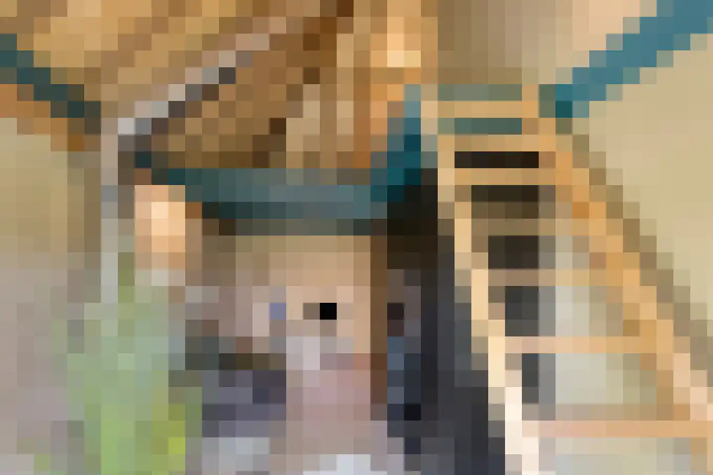 Boveneindsestraat 25 Kesteren thumbnail 54