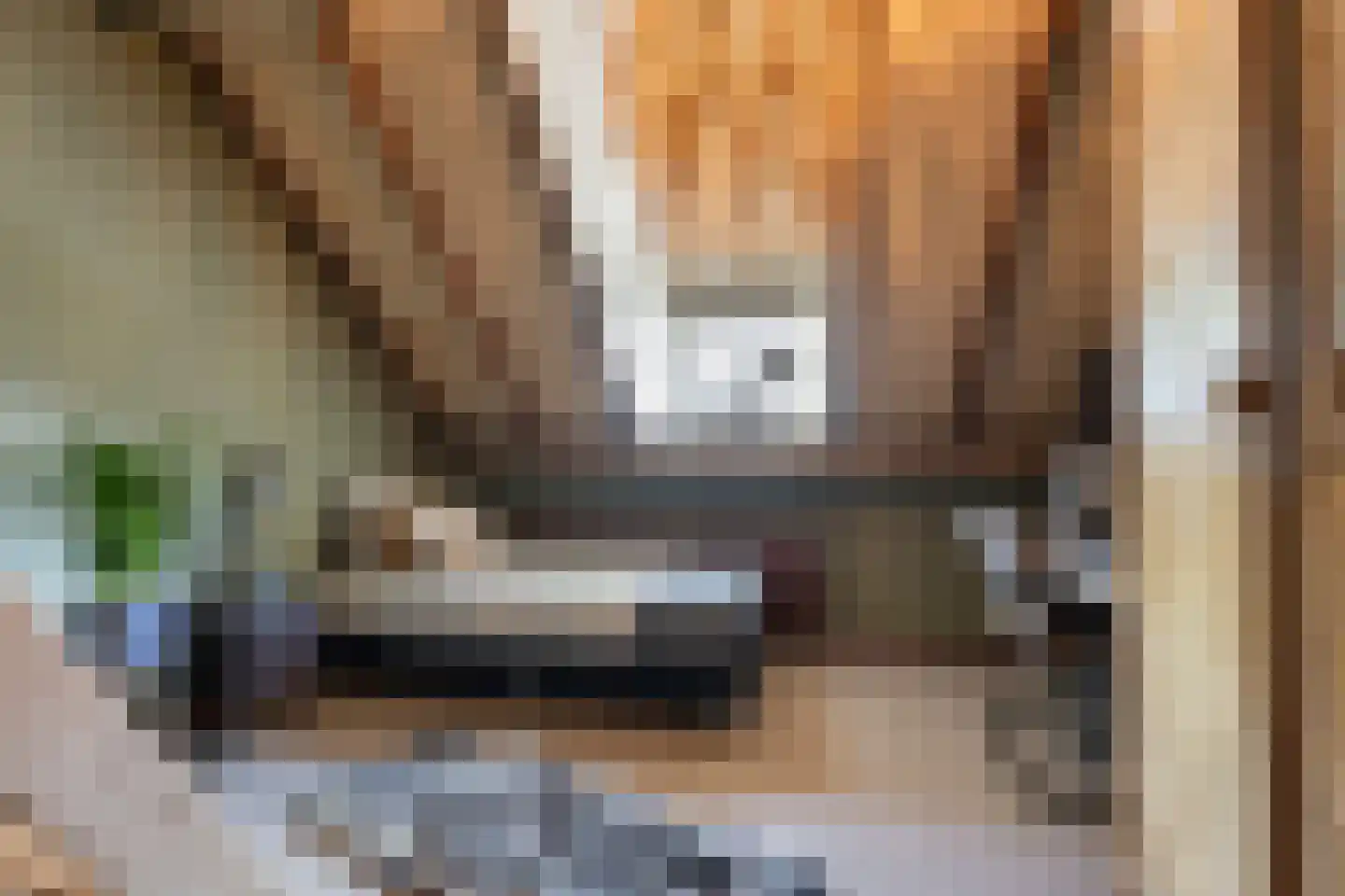 Boveneindsestraat 25 Kesteren thumbnail 55