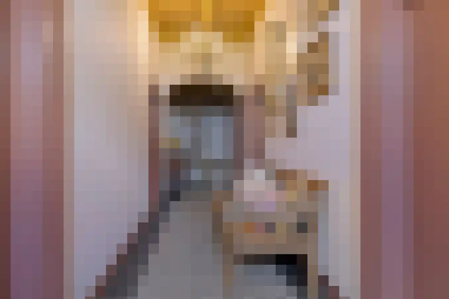 Boveneindsestraat 25 Kesteren thumbnail 6