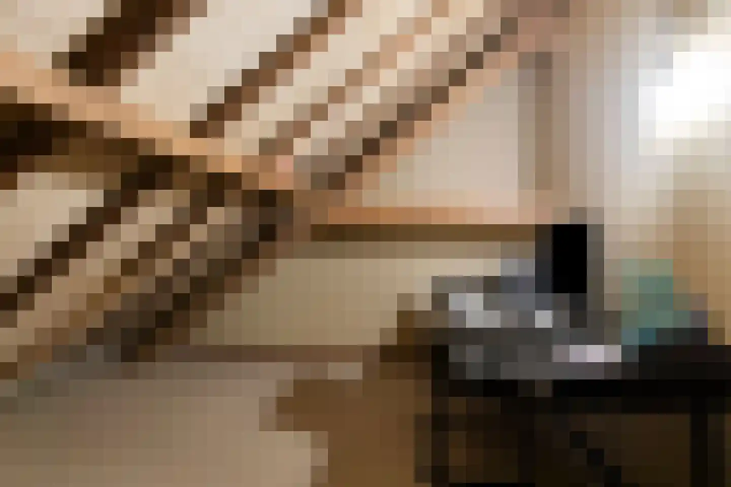 Boveneindsestraat 25 Kesteren thumbnail 64