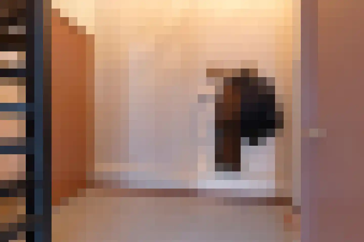 Boveneindsestraat 25 Kesteren thumbnail 67