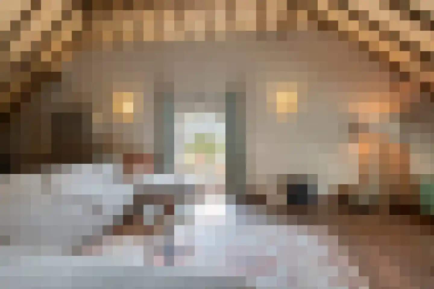 Boveneindsestraat 25 Kesteren thumbnail 70