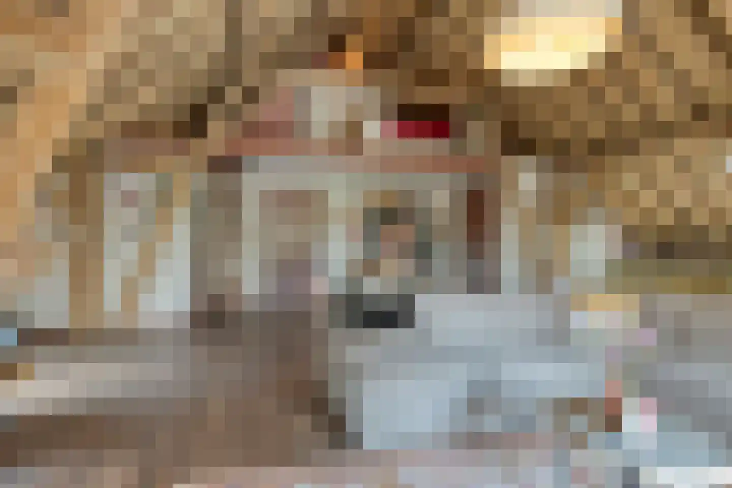 Boveneindsestraat 25 Kesteren thumbnail 73