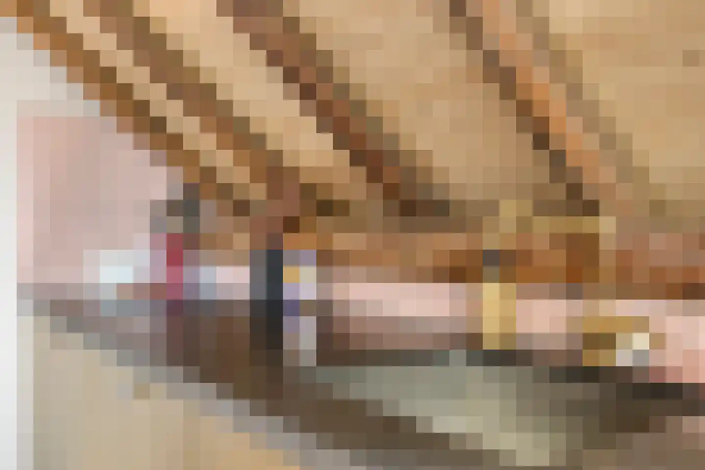 Boveneindsestraat 25 Kesteren thumbnail 77