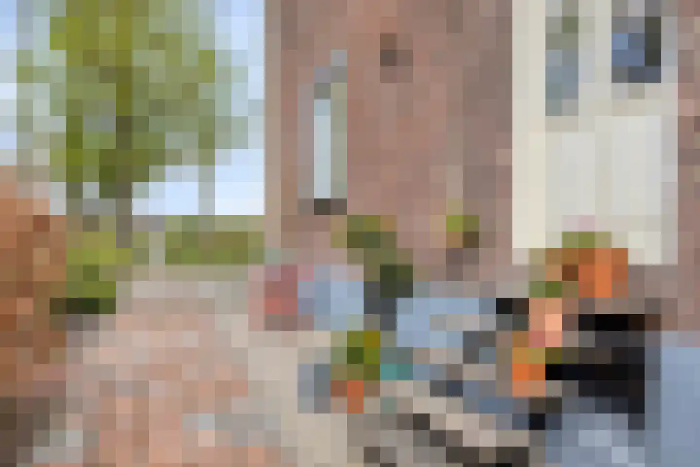 Boveneindsestraat 25 Kesteren thumbnail 84