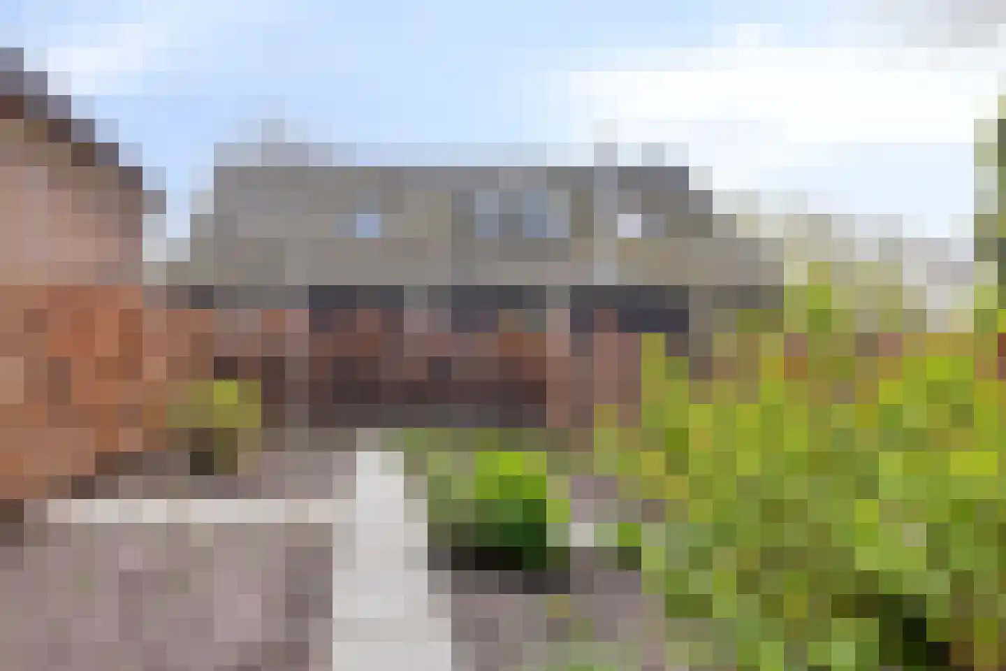 Boveneindsestraat 25 Kesteren thumbnail 86