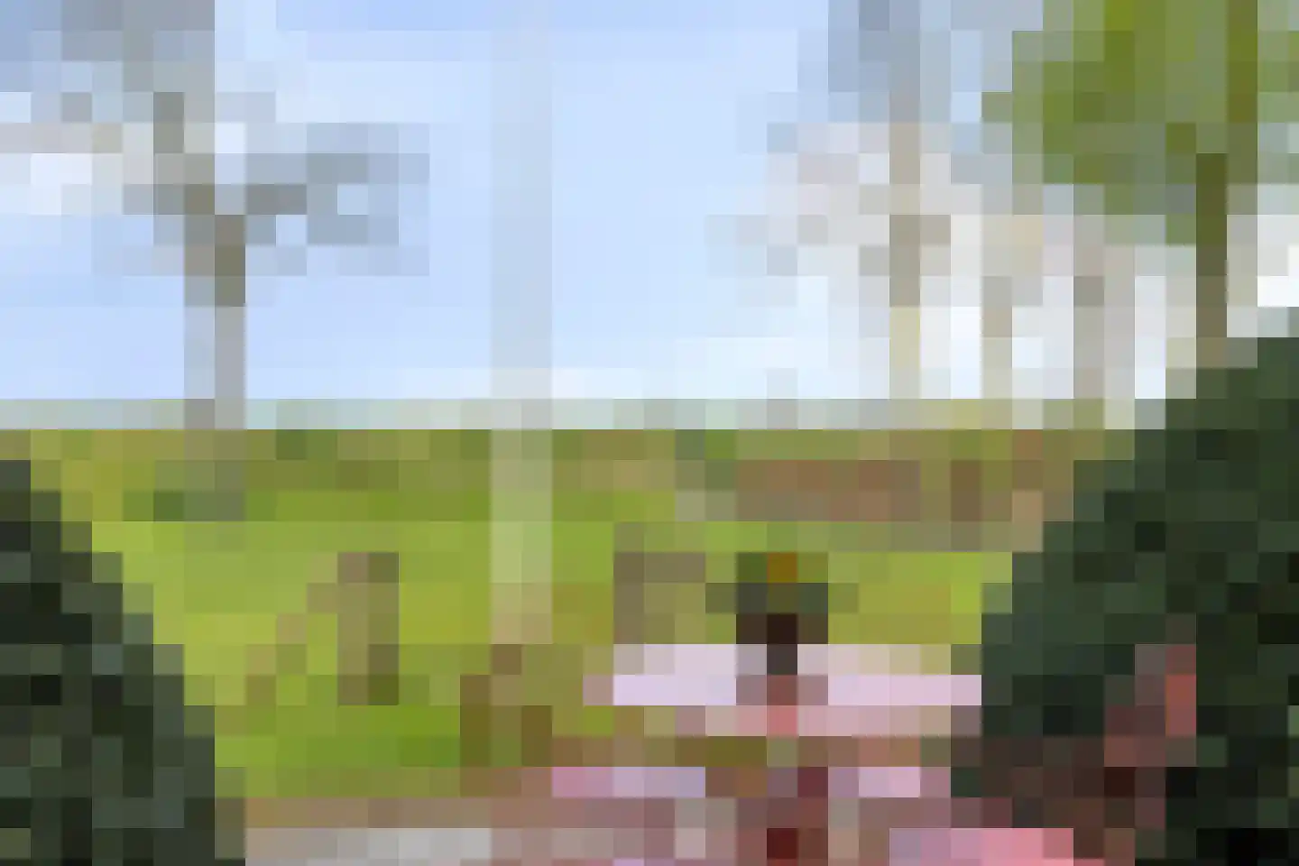Boveneindsestraat 25 Kesteren thumbnail 93