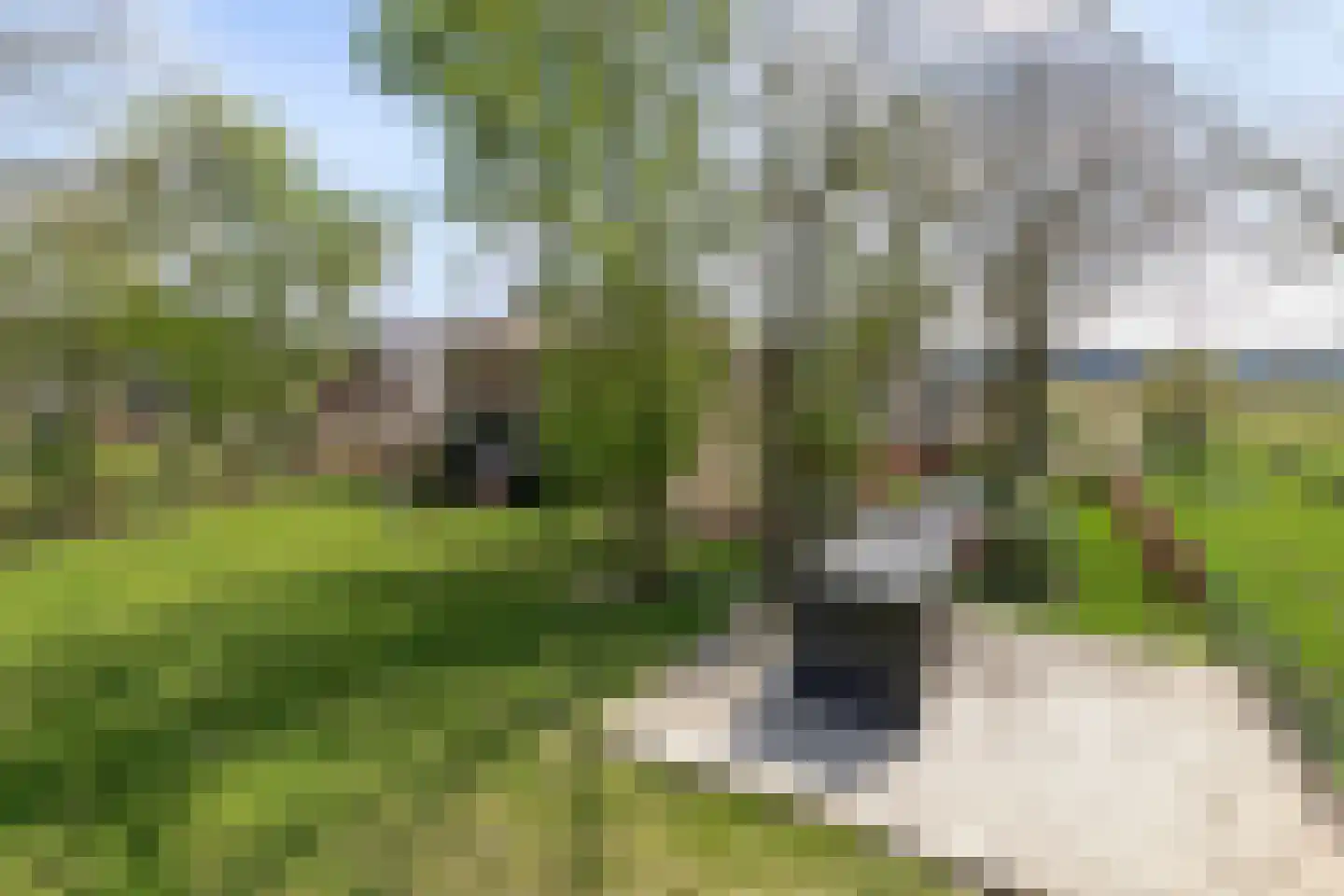 Boveneindsestraat 25 Kesteren thumbnail 95