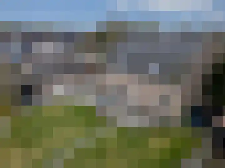 Bovengroenewoudseweg 23 Bergen op Zoom thumbnail 36