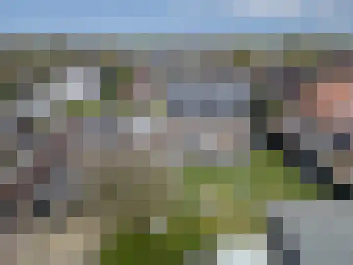 Bovengroenewoudseweg 23 Bergen op Zoom thumbnail 37