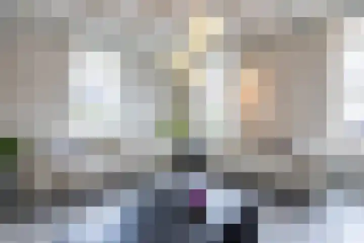 Bovengroenewoudseweg 23 Bergen op Zoom thumbnail 4