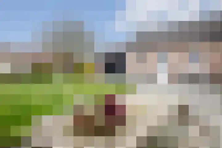 Bovengroenewoudseweg 23 Bergen op Zoom thumbnail 40
