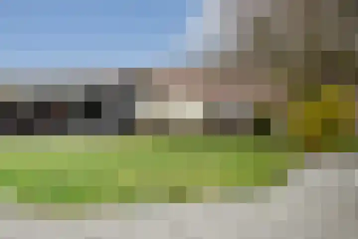 Bovengroenewoudseweg 23 Bergen op Zoom thumbnail 41