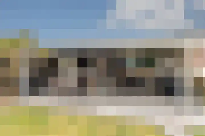 Bovengroenewoudseweg 23 Bergen op Zoom thumbnail 42