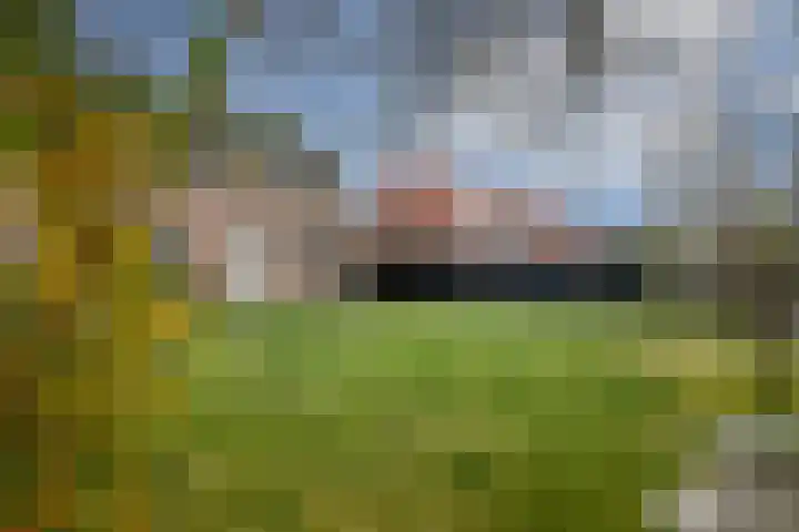 Bovengroenewoudseweg 23 Bergen op Zoom thumbnail 47