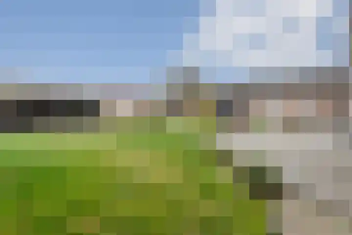 Bovengroenewoudseweg 23 Bergen op Zoom thumbnail 50