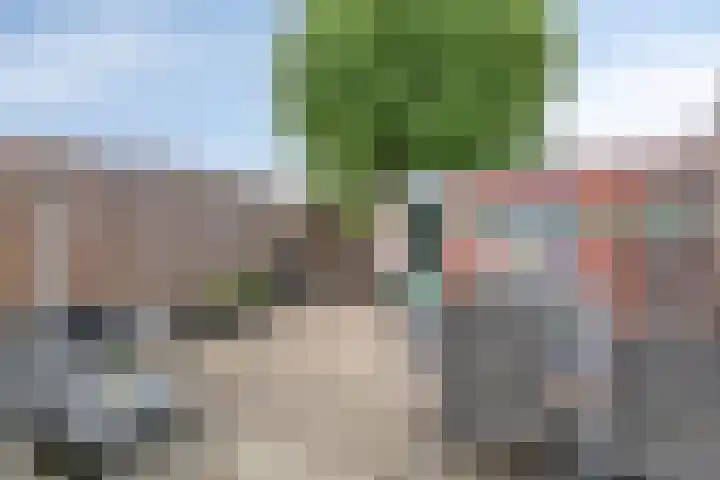 Bovengroenewoudseweg 63 Bergen op Zoom thumbnail 36